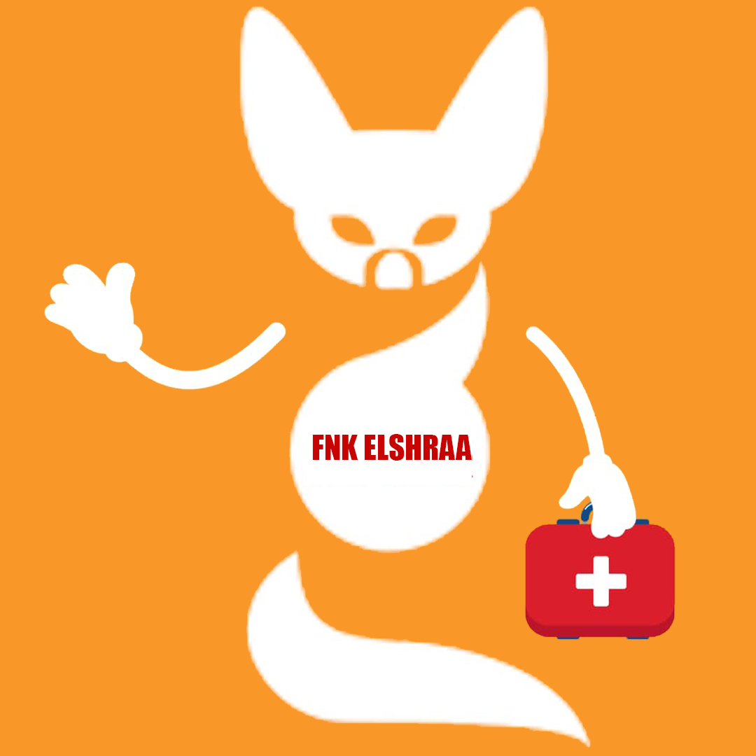 FNK ELSHRAA Logo